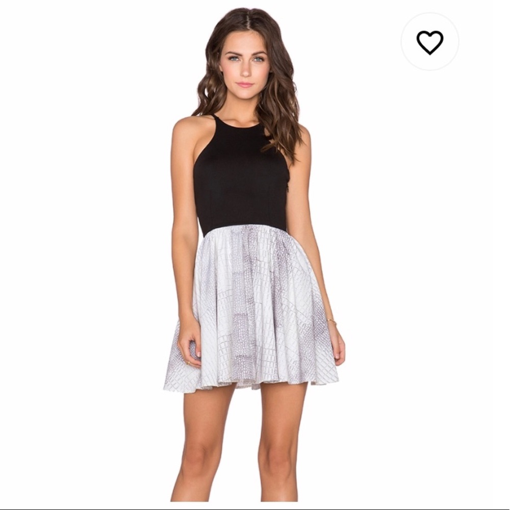 Donna mizani dress from Revolve